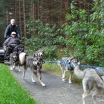 de bocht om en het bos weer in