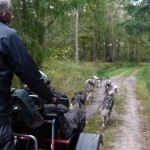 erachter aan op de mountainbike