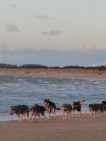 Prachtig over het strand