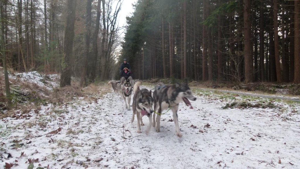 on the trail