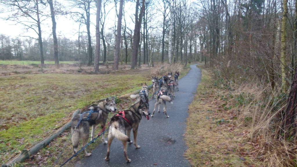 terug naar de bus