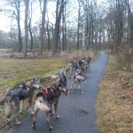 terug naar de bus