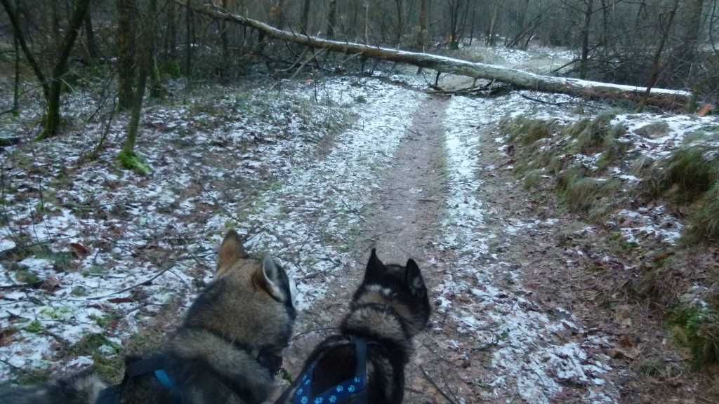 Natuurlijk!