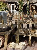 Husky's in de zon